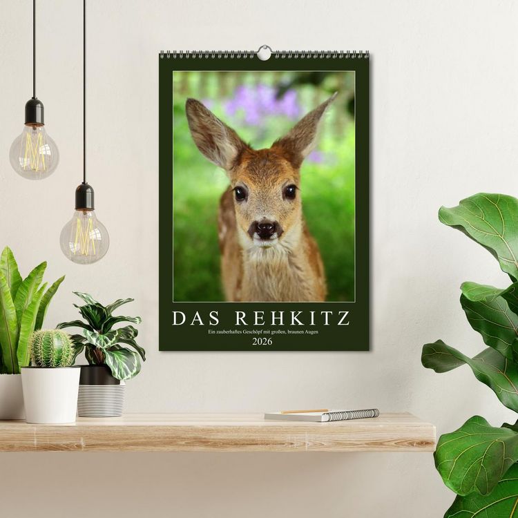 Produktbild: Das Rehkitz, ein zauberhaftes Gesch&ouml;pf mit gro&szlig;en, braunen Augen (Wandkalender 2026 DIN A3 hoch), CALVENDO Monatskalender
