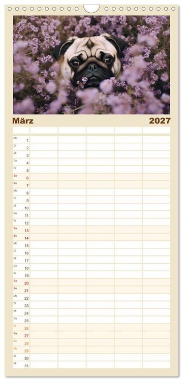 Produktbild: Familienplaner 2027 - Lustige Mops-Hunde: Die charmanten Meister von Chaos und Unfug mit 5 Spalten (Wandkalender, 21 x 45 cm) CALVENDO