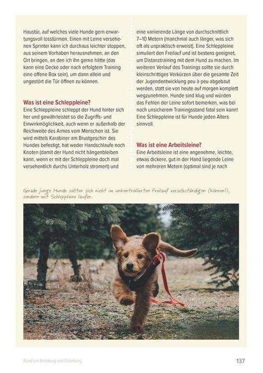 Produktbild: Ein Hund und 1000 Fragen