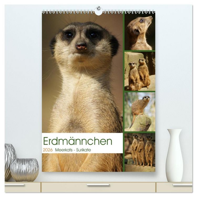Produktbild: Erdm&auml;nnchen-Meerkats-Surikate (hochwertiger Premium Wandkalender 2026 DIN A2 hoch), Kunstdruck in Hochglanz