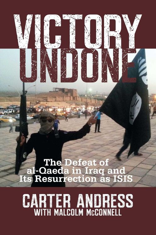Produktbild: Victory Undone