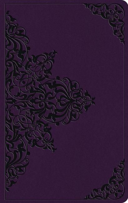 Produktbild: ESV Large Print Value Thinline Bible