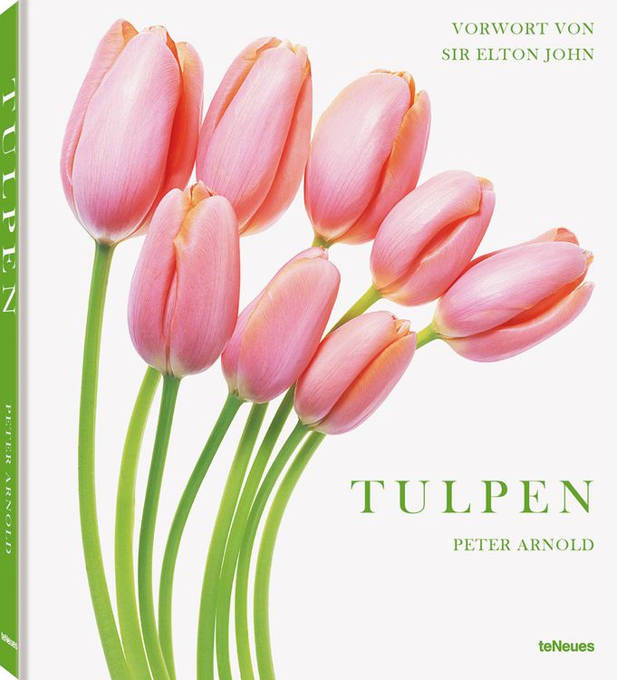 Produktbild: Tulpen