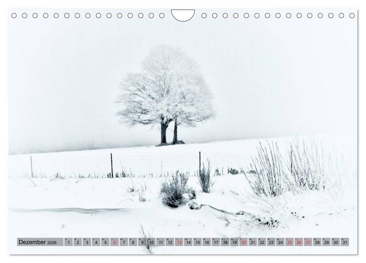 Produktbild: Franken WildRomantisch (Wandkalender 2026 DIN A4 quer), CALVENDO Monatskalender