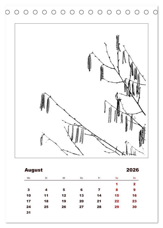 Produktbild: LignoGrafica - Muster und Strukturen der B&auml;ume (Tischkalender 2026 DIN A5 hoch), CALVENDO Monatskalender