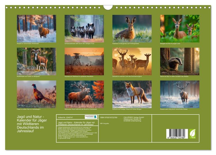 Produktbild: Jagd und Natur - Kalender f&uuml;r J&auml;ger mit Wildtieren Deutschlands im Jahreslauf (Wandkalender 2026 DIN A3 quer), CALVENDO Monatskalender