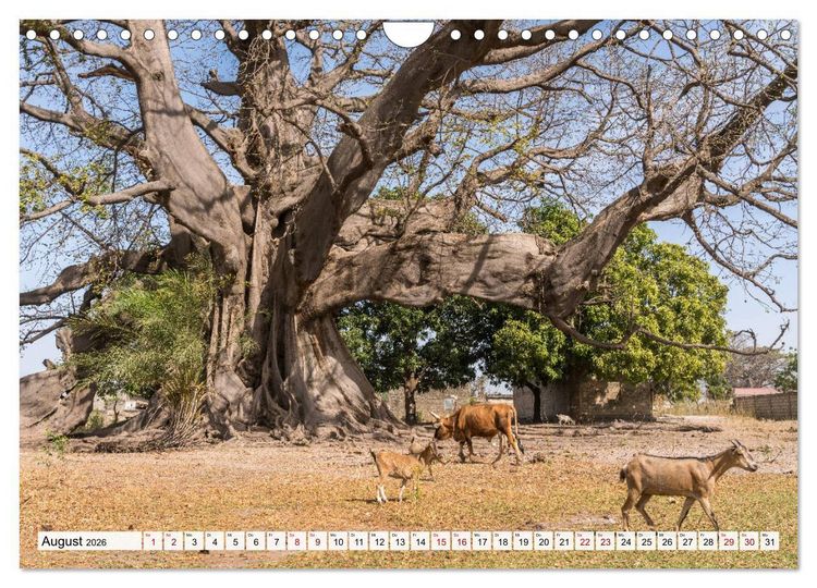 Produktbild: Traumreise durch Afrika (Wandkalender 2026 DIN A4 quer), CALVENDO Monatskalender