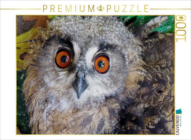 Produktbild: CALVENDO Puzzle Junguhu - Tierarztpraxis Weidenhausen | 1000 Teile Lege-Gr&ouml;&szlig;e 64x48cm Foto-Puzzle f&uuml;r gl&uuml;ckliche Stunden