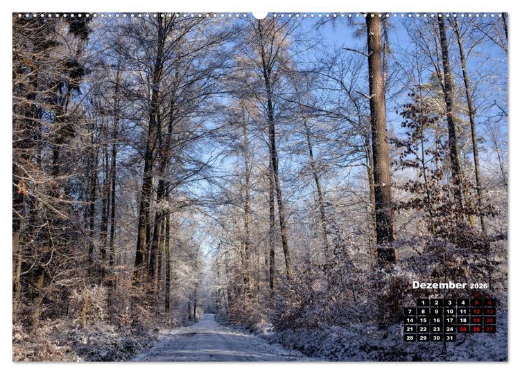 Produktbild: Rund um den Sch&ouml;nbuch (Wandkalender 2026 DIN A2 quer), CALVENDO Monatskalender