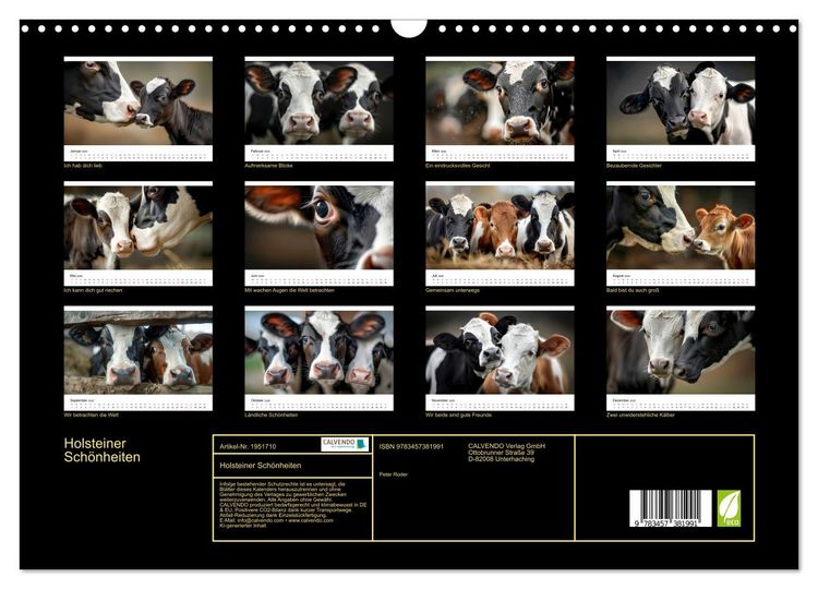 Produktbild: Holsteiner Sch&ouml;nheiten (Wandkalender 2026 DIN A3 quer), CALVENDO Monatskalender