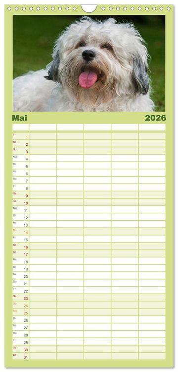 Produktbild: Familienplaner 2026 - Havaneser - Herz auf 4 Pfoten mit 5 Spalten (Wandkalender, 21 x 45 cm) CALVENDO