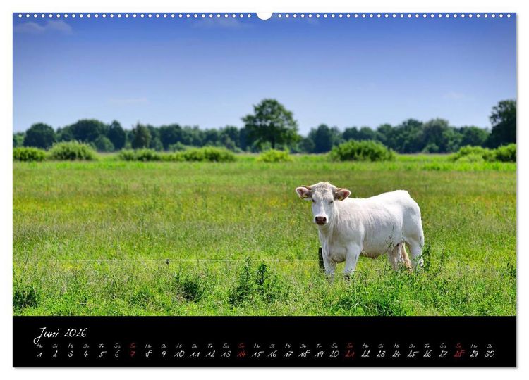 Produktbild: Vier- und Marschlande Hamburgs gr&uuml;ner S&uuml;dosten (hochwertiger Premium Wandkalender 2026 DIN A2 quer), Kunstdruck in Hochglanz