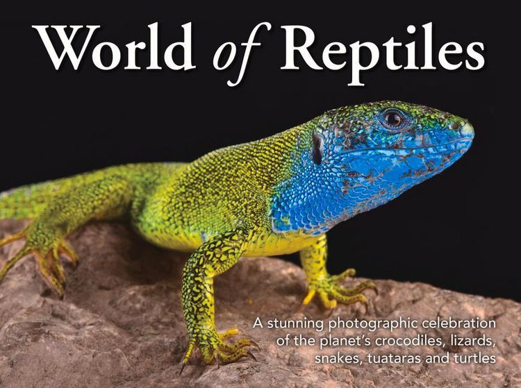 Produktbild: World of Reptiles