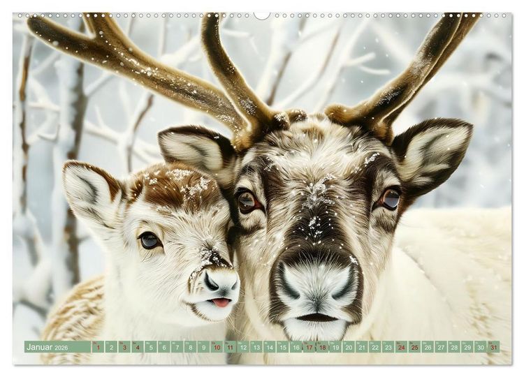 Produktbild: Tierkinder des Nordens (hochwertiger Premium Wandkalender 2026 DIN A2 quer), Kunstdruck in Hochglanz
