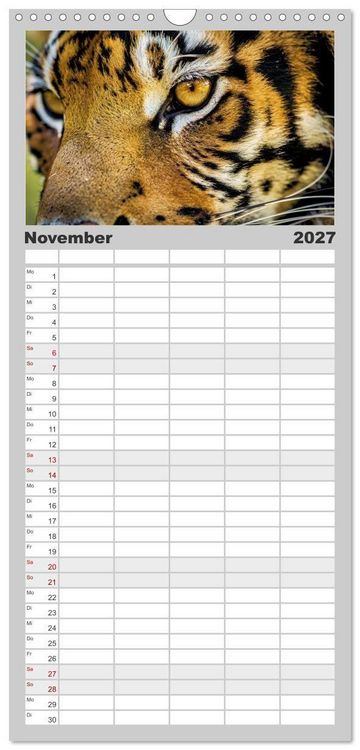 Produktbild: Familienplaner 2027 - Die Augen der Wildnis mit 5 Spalten (Wandkalender, 21 x 45 cm) CALVENDO