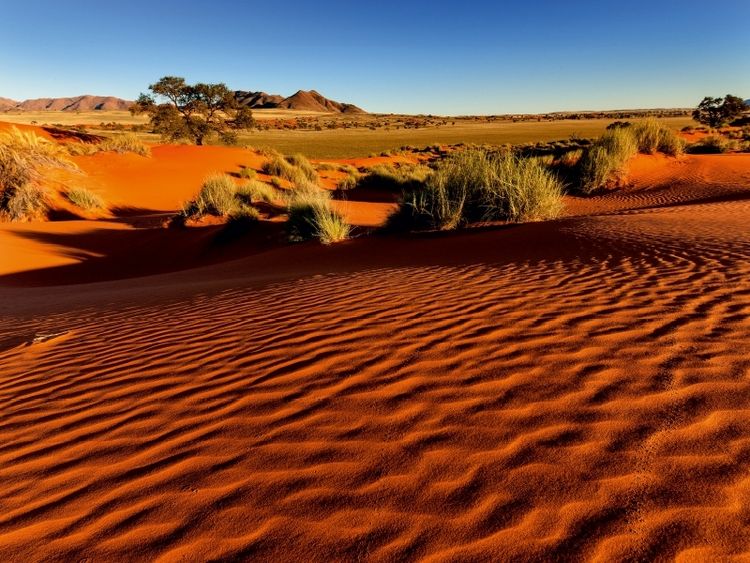Produktbild: CALVENDO Puzzle Morgenlicht in der Namib-W&uuml;ste in der Sossusvlei | 1000 Teile Lege-Gr&ouml;&szlig;e 64x48cm Foto-Puzzle f&uuml;r gl&uuml;ckliche Stunden