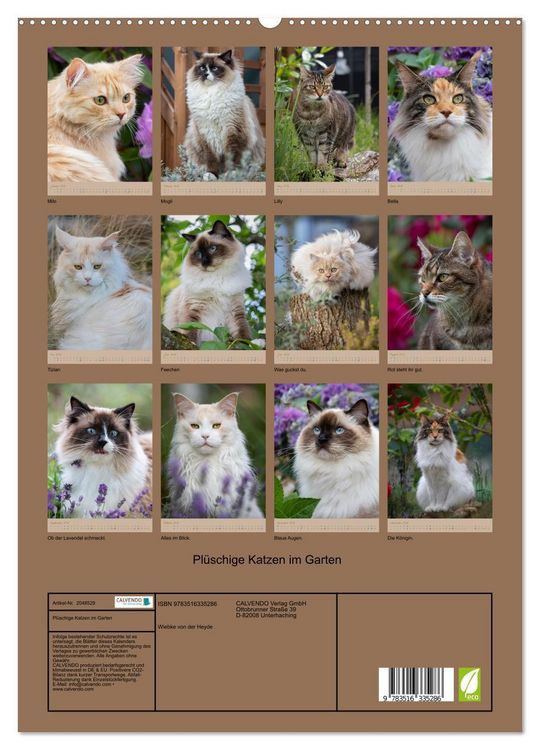 Produktbild: Pl&uuml;schige Katzen im Garten (hochwertiger Premium Wandkalender 2026 DIN A2 hoch), Kunstdruck in Hochglanz