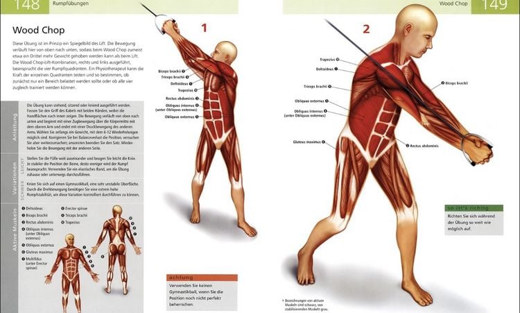 Produktbild: Das Anatomie-Buch der Fitness