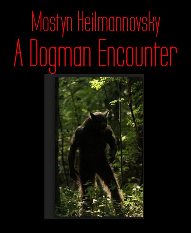 Produktbild: A Dogman Encounter