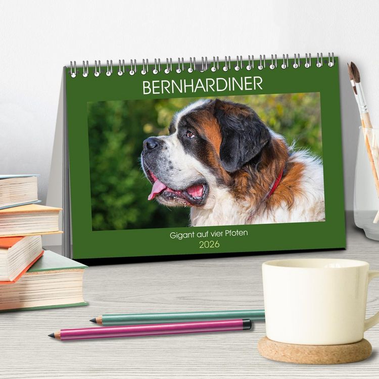Produktbild: Bernhardiner - Gigant auf vier Pfoten (Tischkalender 2026 DIN A5 quer), CALVENDO Monatskalender