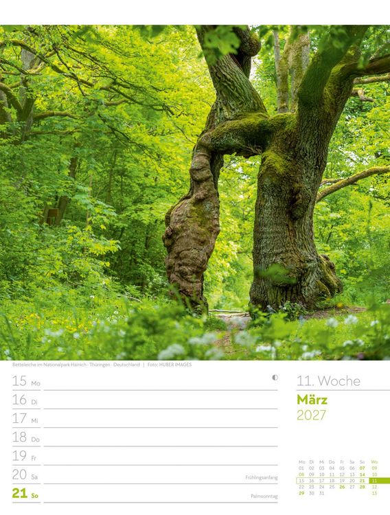 Produktbild: Unser Wald Wochenplaner Kalender 2027