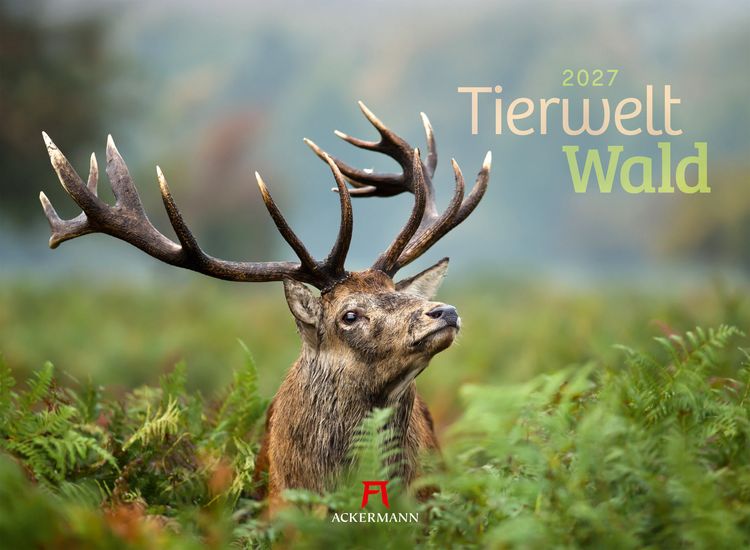 Produktbild: Tierwelt Wald Kalender 2027
