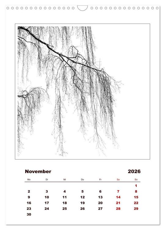 Produktbild: LignoGrafica - Muster und Strukturen der B&auml;ume (Wandkalender 2026 DIN A3 hoch), CALVENDO Monatskalender