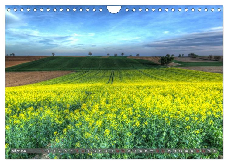 Produktbild: Weinland Pfalz - Region S&uuml;dliche Weinstra&szlig;e (Wandkalender 2026 DIN A4 quer), CALVENDO Monatskalender