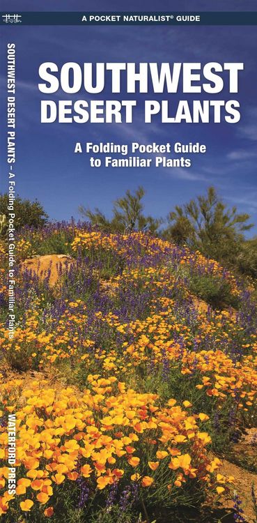Produktbild: Southwestern Desert Plants