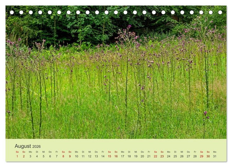Produktbild: Wilde Blumen - ein Spaziergang durch die Natur (Tischkalender 2026 DIN A5 quer), CALVENDO Monatskalender