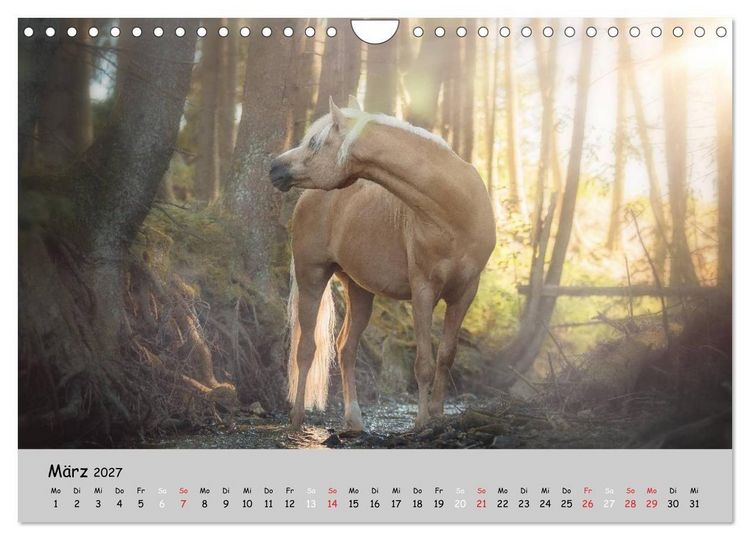 Produktbild: Pferde - Anmut und St&auml;rke gepaart mit Magie (Wandkalender 2027 DIN A4 quer), CALVENDO Monatskalender