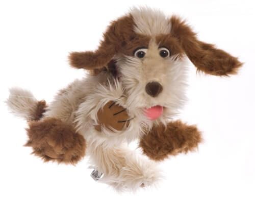 Produktbild: Tillmann der Hund