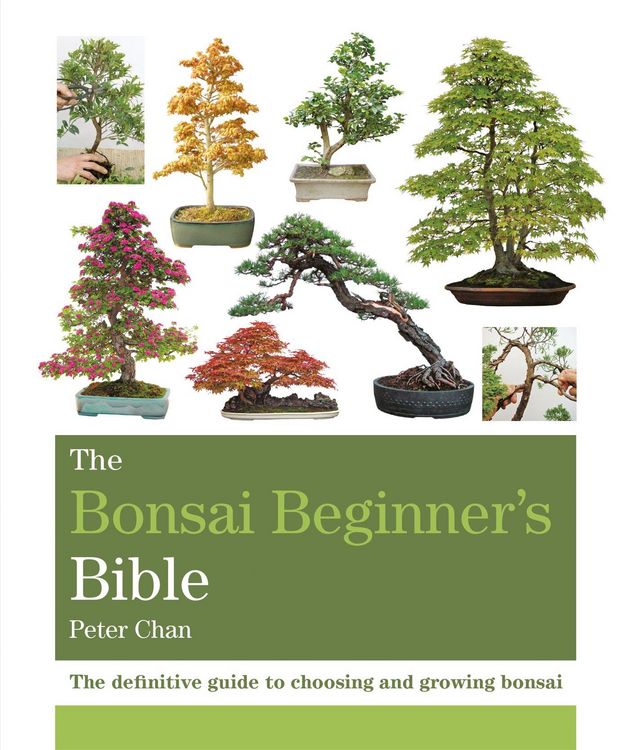 Produktbild: The Bonsai Beginner's Bible