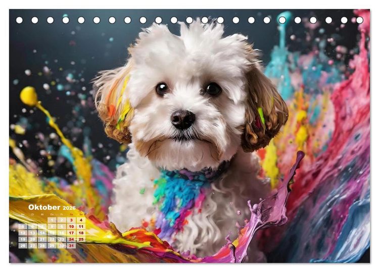 Produktbild: Splash - Hunde im Farbrausch (Tischkalender 2026 DIN A5 quer), CALVENDO Monatskalender
