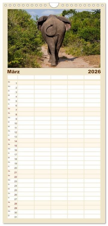 Produktbild: Familienplaner 2026 - begegnungen - elefanten im s&uuml;dlichen afrika mit 5 Spalten (Wandkalender, 21 x 45 cm) CALVENDO