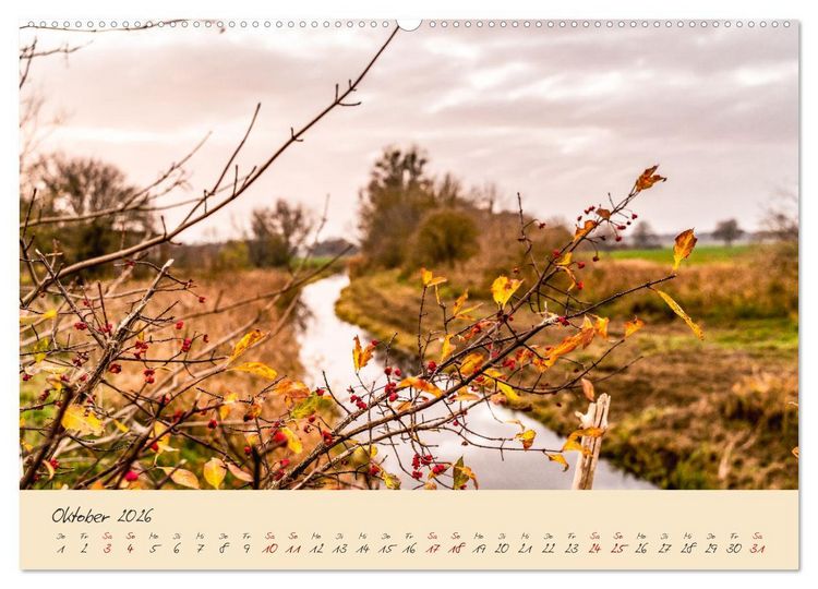 Produktbild: Friedl&auml;nder Gro&szlig;e Wiese (hochwertiger Premium Wandkalender 2026 DIN A2 quer), Kunstdruck in Hochglanz