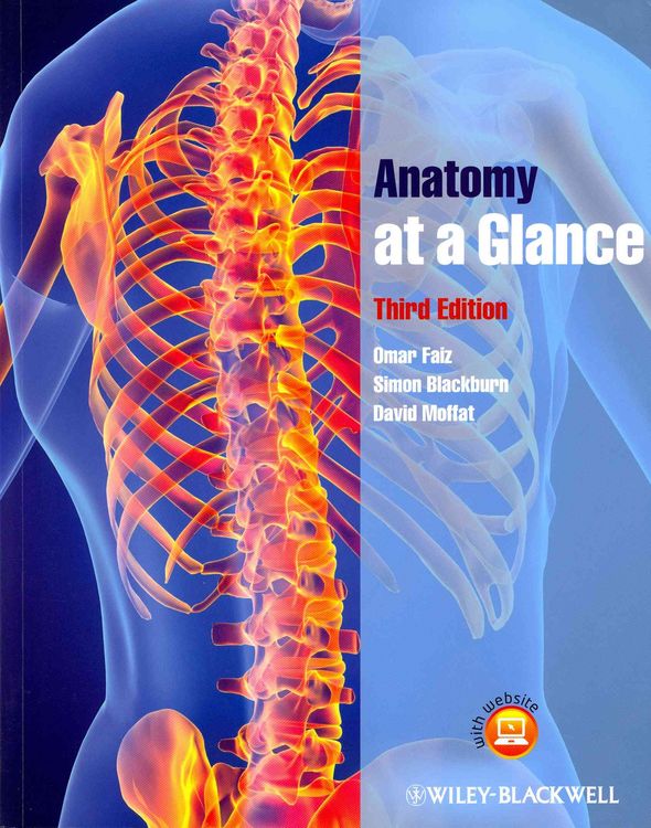 Produktbild: Anatomy at a Glance