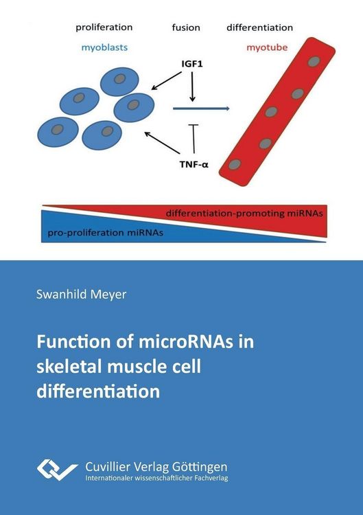 Produktbild: Function of microRNAs in skeletal muscle cell differentiation