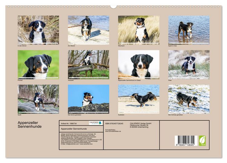 Produktbild: Appenzeller Sennenhunde (hochwertiger Premium Wandkalender 2026 DIN A2 quer), Kunstdruck in Hochglanz