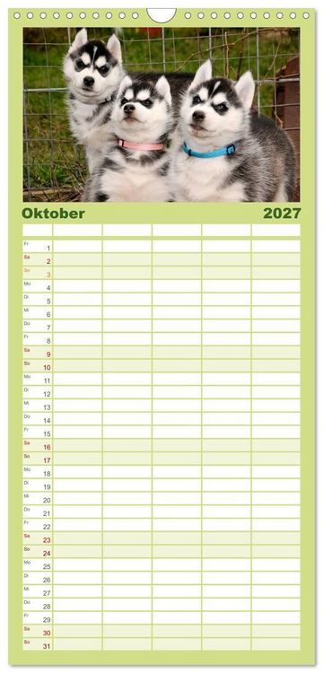 Produktbild: Familienplaner 2027 - Husky Welpen mit 5 Spalten (Wandkalender, 21 x 45 cm) CALVENDO