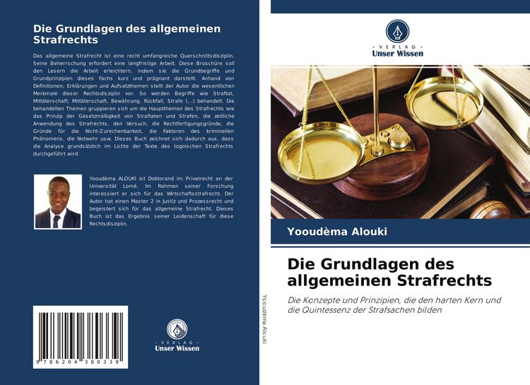 Produktbild: Die Grundlagen des allgemeinen Strafrechts