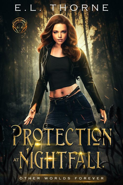 Produktbild: Protection at Nightfall (Other Worlds Forever, #1)