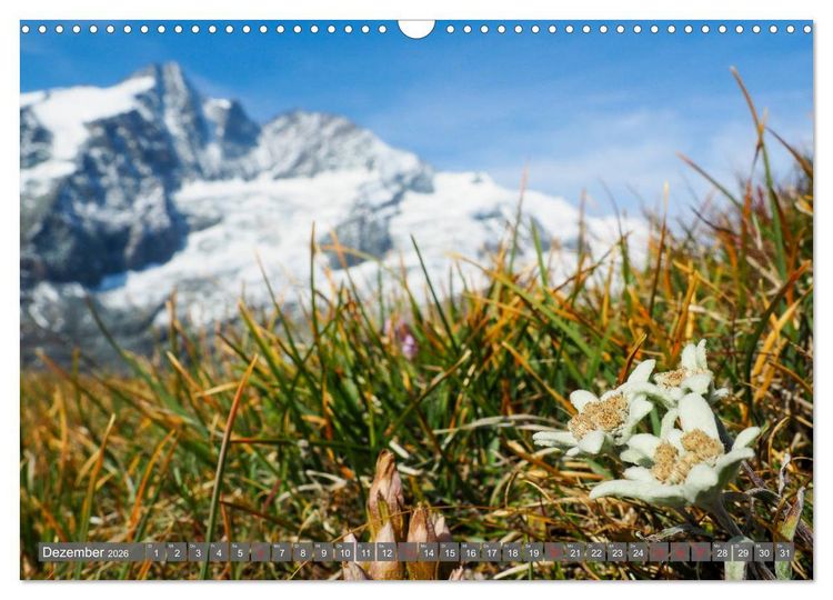 Produktbild: Flora der Alpen (Wandkalender 2026 DIN A3 quer), CALVENDO Monatskalender