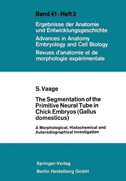 Produktbild: The Segmentation of the Primitive Neural Tube in Chick Embryos (Gallus domesticus)