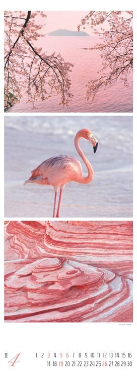 Produktbild: Colours of Nature - Triplets 2026 - Streifenkalender XXL 25x69 cm - Bildkalender im Hochformat - Naturkalender - Wandkalender - Wandplaner