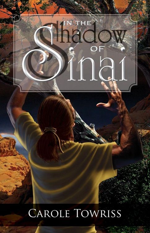 Produktbild: In the Shadow of Sinai