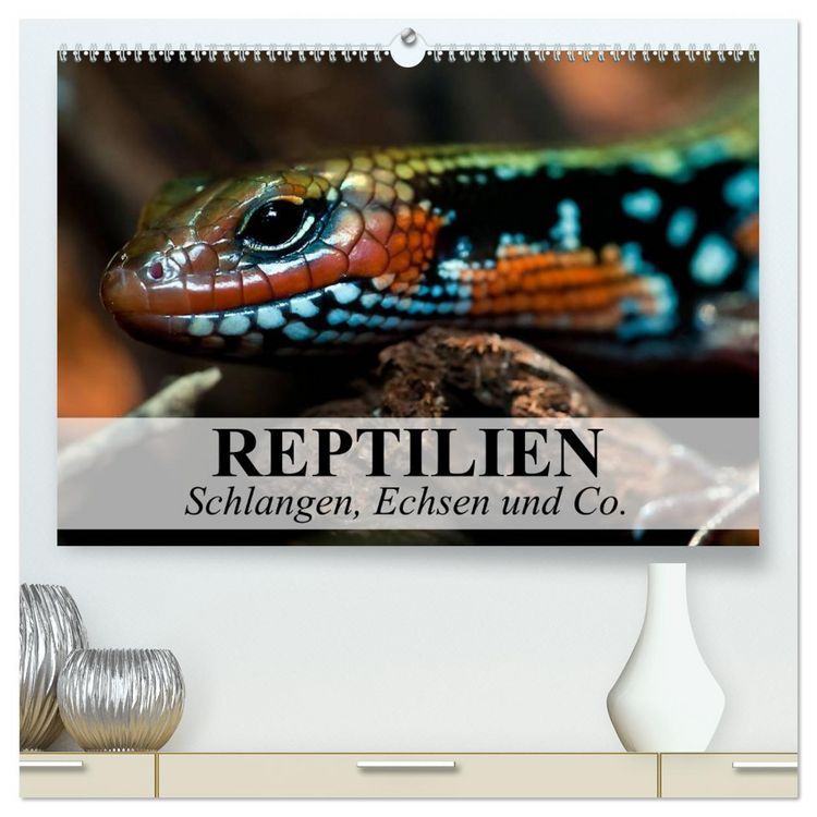 Produktbild: Reptilien Schlangen, Echsen und Co. (hochwertiger Premium Wandkalender 2026 DIN A2 quer), Kunstdruck in Hochglanz