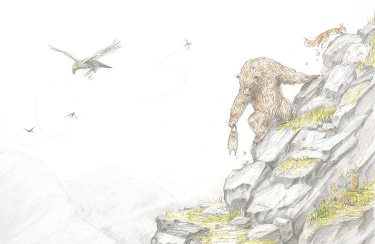 Produktbild: Herr Eichhorn: Herr Eichhorn und der K&ouml;nig des Waldes