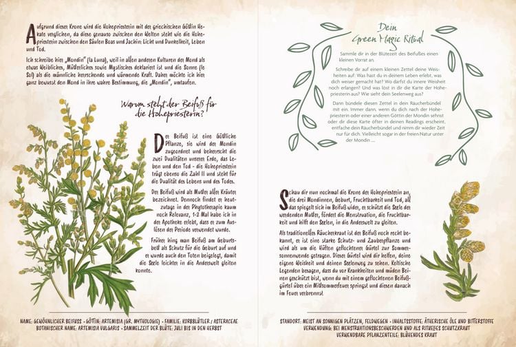 Produktbild: Tarot & Gr&uuml;ne Magie