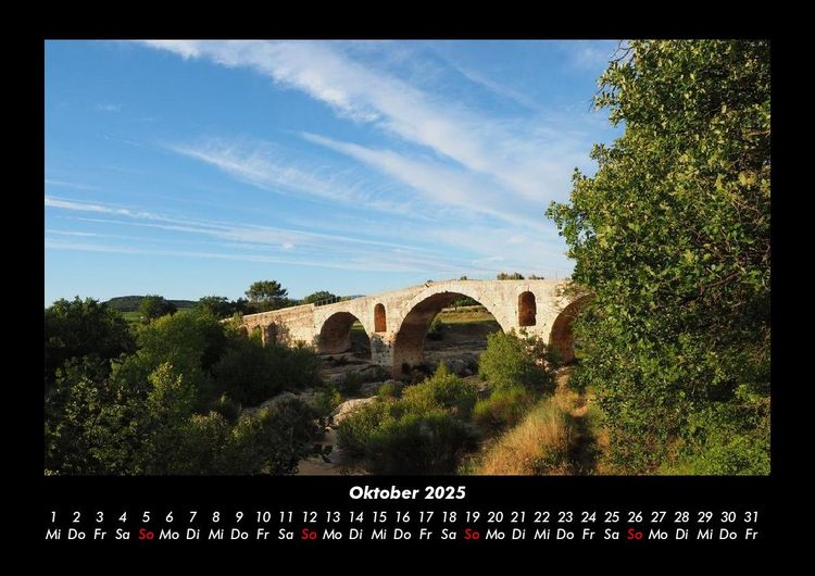 Produktbild: B&auml;ume 2025 Fotokalender DIN A3